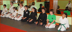 Beverly Hills Kids Karate Classes