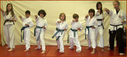 Beverly Hills Kids Karate Classes